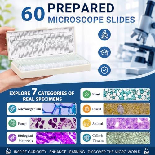 Tellegloww 60 Pcs Prepared Microscope Slides with Specimens for Kids - Image 2