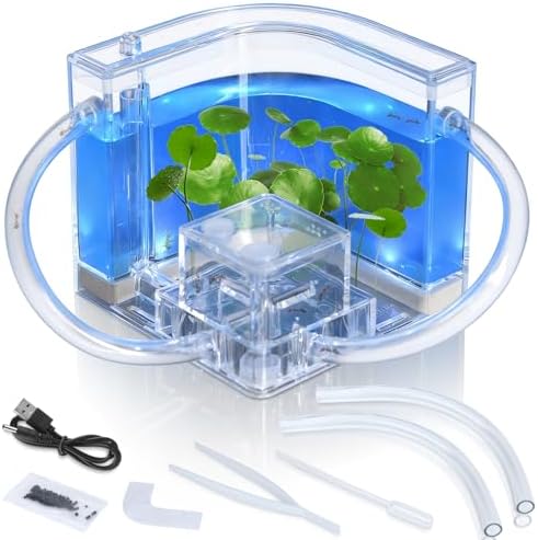 Ant Nest, Ant Habitat Kit by Unknown