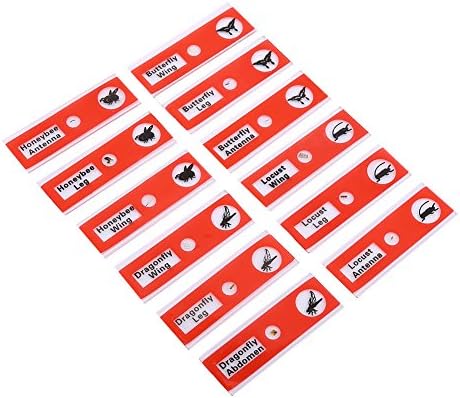 12PCS Prepared Microscope Slides, Plastic Colored Biological Sample Biology Slides Root Viewer Kit Microscope Accessories for Students Education (Red) by Unknown