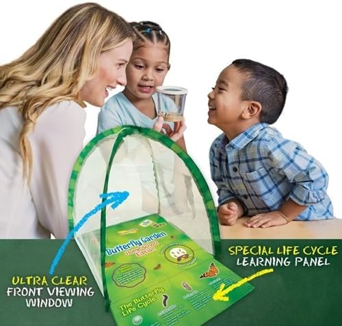 Insect Lore Butterfly Garden Experience | No Fee Prepaid Voucher | Redeem Raise and Release 5 Baby Painted Lady Caterpillars | Observation Habitat and All Supplies Included - Image 6