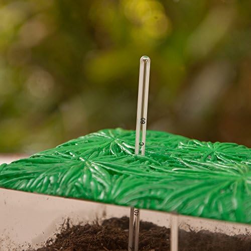 Educational Insights See-Through Compost Container - STEM Kits for Kids, Homeschool or Classroom Earth Science Kit, Practice Observation & Learn about Nature, Science Experiments for Kids Ages 4+ - Image 3
