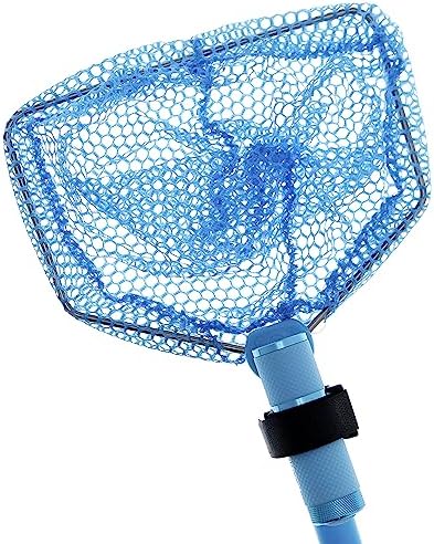 Beach Toys for Kids - Ghost Crabbing Kit - Crab Net - Beach Toy Nets - Bug Catcher Kits - Critters - Youngster Fishing Fishnet - Butterfly Catching - Insects - Ghost Shrimps - Image 5