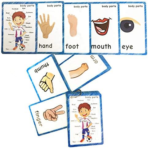 SANTSUN Body Parts Flashcards - Educational Learning Word Card for Class - Image 4