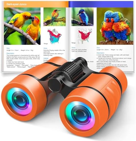 3-8 Year Old Boy Girl Toys: LET'S GO! Shockproof Binoculars for Kids Bird Watching 3 4 5 6 7 Year Old Boys Girls Outdoor Travel Toy for Kid Ages 4-7 Toddler Toy Binoculars Christmas Stocking Stuffers by LETSGO