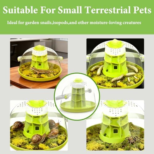 Snail Terrarium Kit Insect Enclosure Bug Terrarium Observation Container Praying Mantis Habitat Breeding Box Micro Habitat Starter Kit for Beetles Spider Small Reptile - Image 5