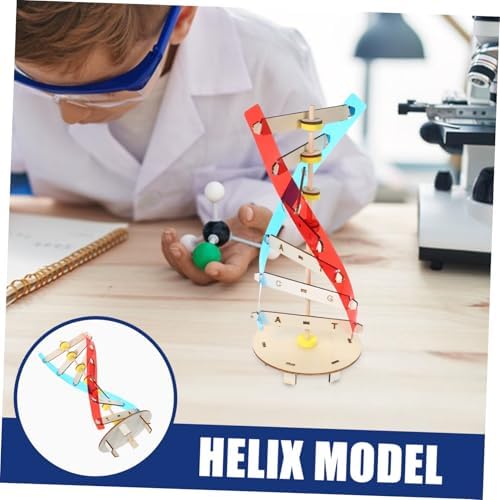 DNA Double Helix Model DIY Science Teaching Prop for Kids Students - Image 6