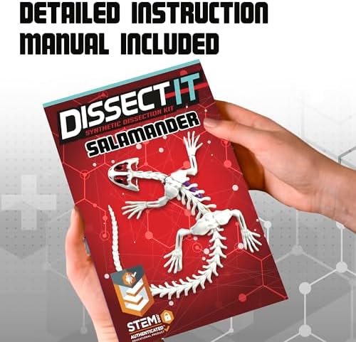 Dissect-It Kit for Kids, Simulated Synthetic Lab Dissection Toy, Salamander STEM Toys for Animal Science, Biology, and Anatomy - Image 5