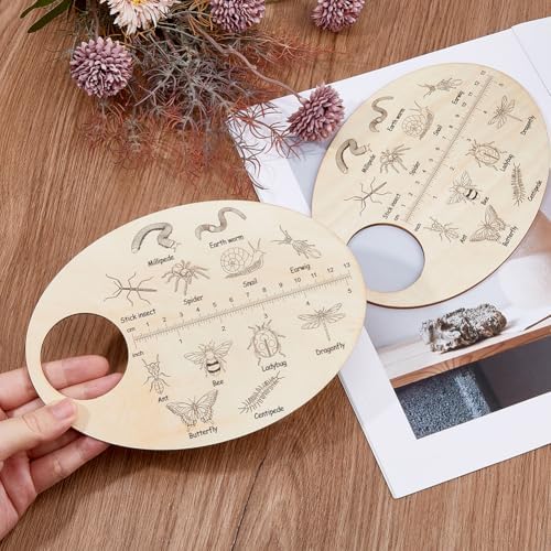 SUPERFINDINGS Insect Wooden Custom Insects Exploration Board Educational Learning Gift Learning Insect Plywood Insects ID Search Board Insect Iecognition Tools for Fields Forest Insect Lovers Gifts - Image 3