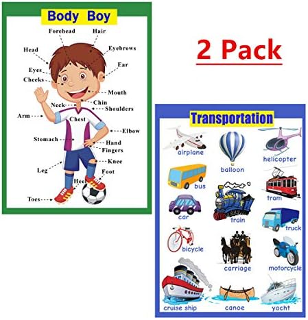 SANTSUN 2 Pcs of Set Educational Preschool Poster for Toddlers and Kids|Great for Nursery Homeschool Kind Classroom decorations|School Wall Decor- Transportation,Body Parts (17x24in) - Image 5