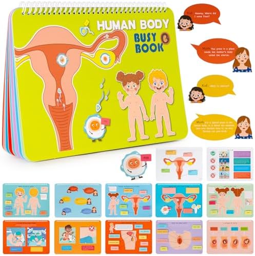 Freebear Montessori Busy Book for Kids, Human Body Anatomy Book for Toddlers, Preshool Kindergarten Learning Activities, Autism Sensory Toys, Gifts for Girls and Boys 4-7 Years- Human Body Procreation by FreeBear
