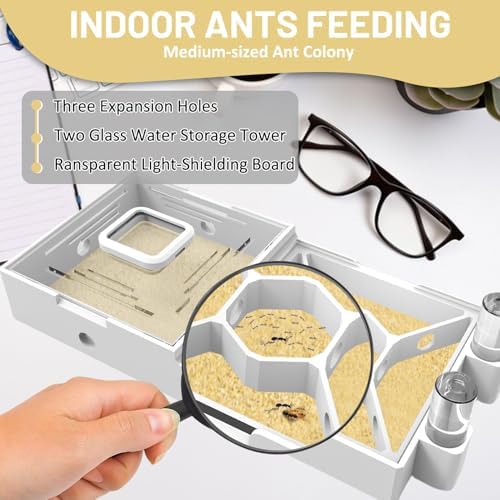 Nest Farm for Live Ants and Queen - Ant Farms with Yellow Sand Observation Transparent Ant Farm for Adults 3D Printed Nest Ant Workshop Castle Ant Garden Queen (Kit-D) - Image 3