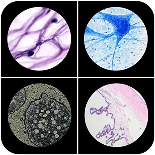 60pcs Plastic Prepared Microscope Slides - Image 7