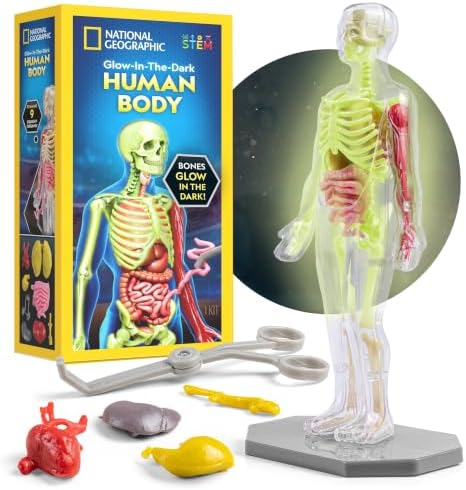 National Geographic Human Body Model for Kids 32-Piece Anatomy Set by BlueMarbleToys
