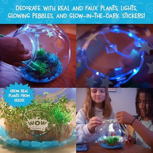 Wow in The World Light-UP Terrarium | Grow Plants, Decorate Your Terrarium, Glow-in-The-Dark, UV Lights, Companion Audio Content, Bonus Reusable Science Tool, STEM Toy for Kids 6+ by Thames & Kosmos - Image 3