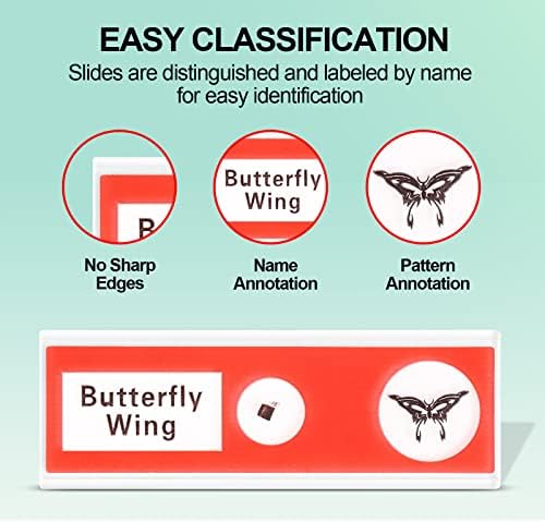 Prepared Plastic Microscope Slides with Specimens for Kids, Microscope Sample Slides Full Range of Animal/Plant/Insect/Blood Biology Slides Gift Set for Kids Microscope (60PCS) - Image 3