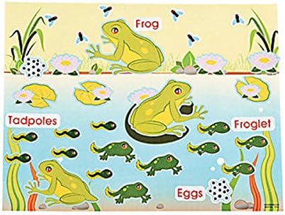 Life Cycle Sticker Scene Assortment ~ 3 each of 4 Life Cycles ~ 11" x 8 1/2" ~ New - Image 3