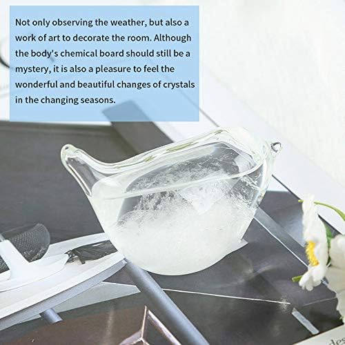 Hovico Storm Weather Forecaster, Water Drop Weather Predictor, Drop-Shaped Glass Barometer, Home and Office Decorative Glass Bottles (A) - Image 4