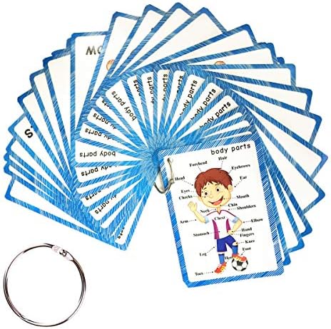 SANTSUN Body Parts Flashcards - Educational Learning Word Card for Class by SANTSUN