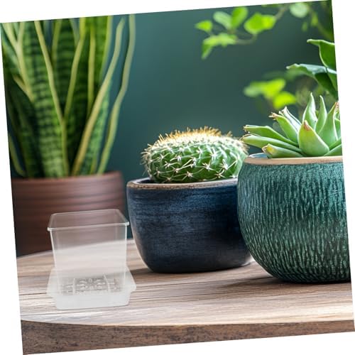 Nursery Pot with Drainage Holes, Plastic Planter for Seedlings - Image 5