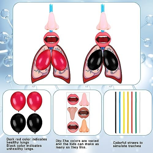 Libima 24 Sets Lung Model Respiratory System Human Body Model Puzzle Toys - Image 5