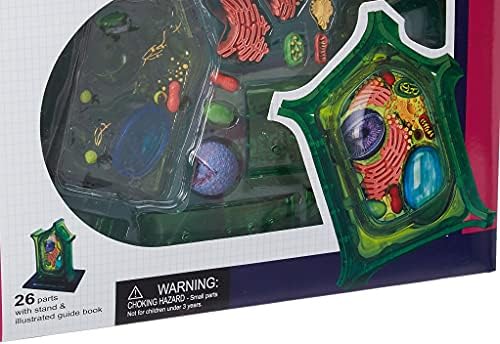 Famemaster 4D-Science Plant Cell Anatomy Model - Image 3