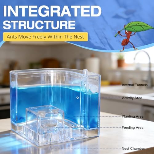Ant Nest, Ant Habitat Kit - Image 5