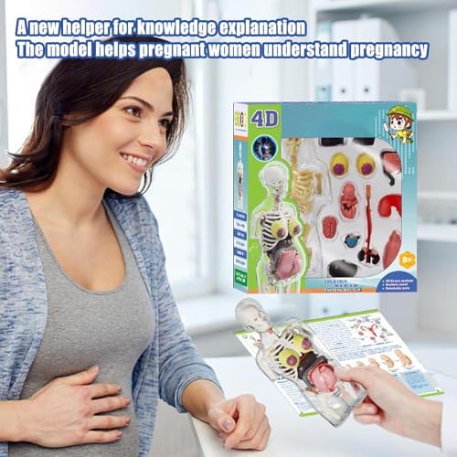 Human Body Model for Kids | Pregnancy Skeleton Model Toy | Anatomical Assembly Educational Toys for Children Classroom Students Learning Enthusiasts Preschool - Image 2