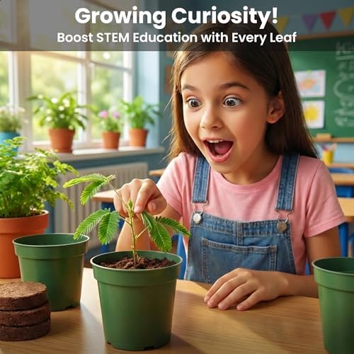 TickleMe Plant Classroom or Homeschool Science Fun Planting Party Kit – for 30 Students – Grow a Sensitive Plant that Reacts to Touch – Includes Activity Book and Seeds for Kids to Plant - Image 4