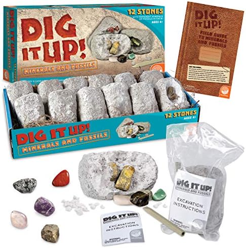 MindWare Dig It Up! Stone Fossil Dig Kits for Kids by MindWare