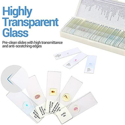 60 Microscope Slides with Specimens for Kids, Prepared Microscope Slides for Kids Microbiology, Prepared Microscope Slides for Adults - Image 3