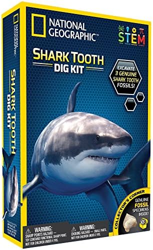 National Geographic Dig Kit: Shark Teeth Fossils, Archaeology & Marine Biology for Kids - Image 6