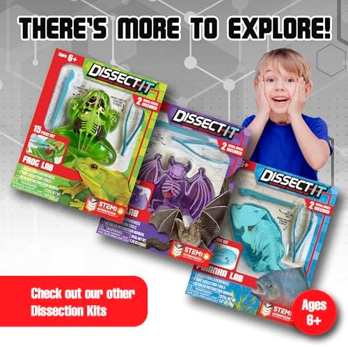 Dissect-It Kit for Kids, Simulated Synthetic Lab Dissection Toy, Salamander STEM Toys for Animal Science, Biology, and Anatomy - Image 6