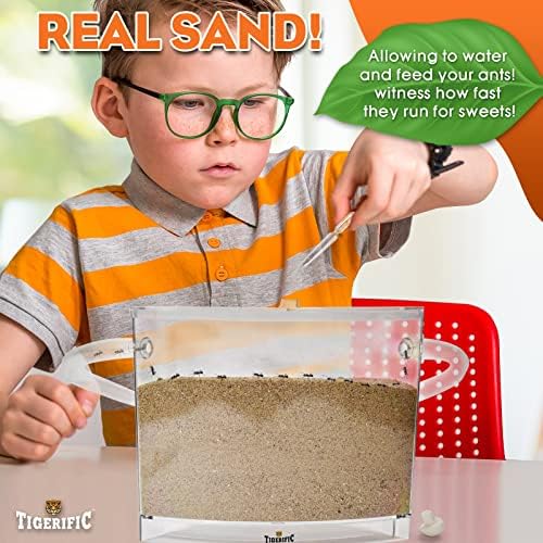 Ant Farm for Live Ants - Real Sand Ant Colony Kit for Kids -Fun Science Habitat Set for Children, Watch Ants Dig Tunnels, Carry Sand, Hide and Drag Their Food - Image 3