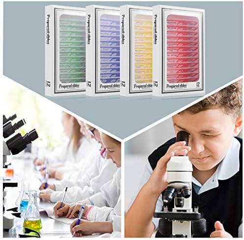 48pcs Plastic Prepared Microscope Slides - Image 7
