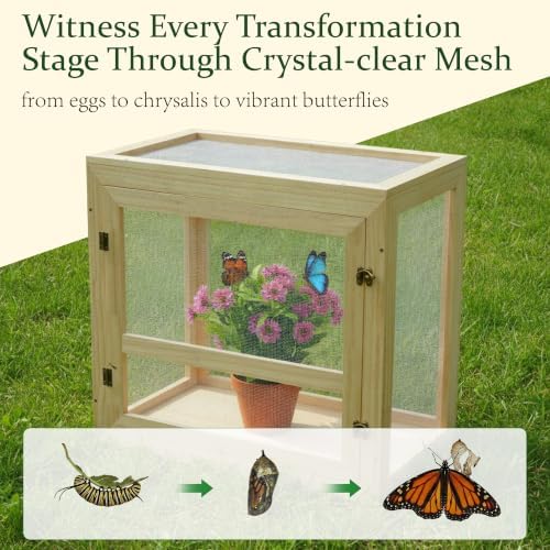 tonchean Butterfly Habitat Cage Kit, 20'' x 18.1'' - Image 4