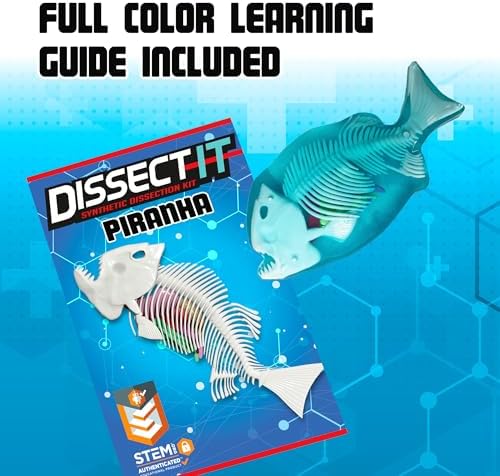 Top Secret Toys Dissect-It Mini Labs Piranha Lab Dissection Kit for Kids, Realistic Synthetic Kids Science Kit - On, Biology and Animal Anatomy, STEM Toy, Ages 6+ - Image 5