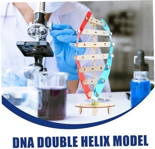 DIY DNA Double Helix Model Science Kit for Kids Students - Image 6