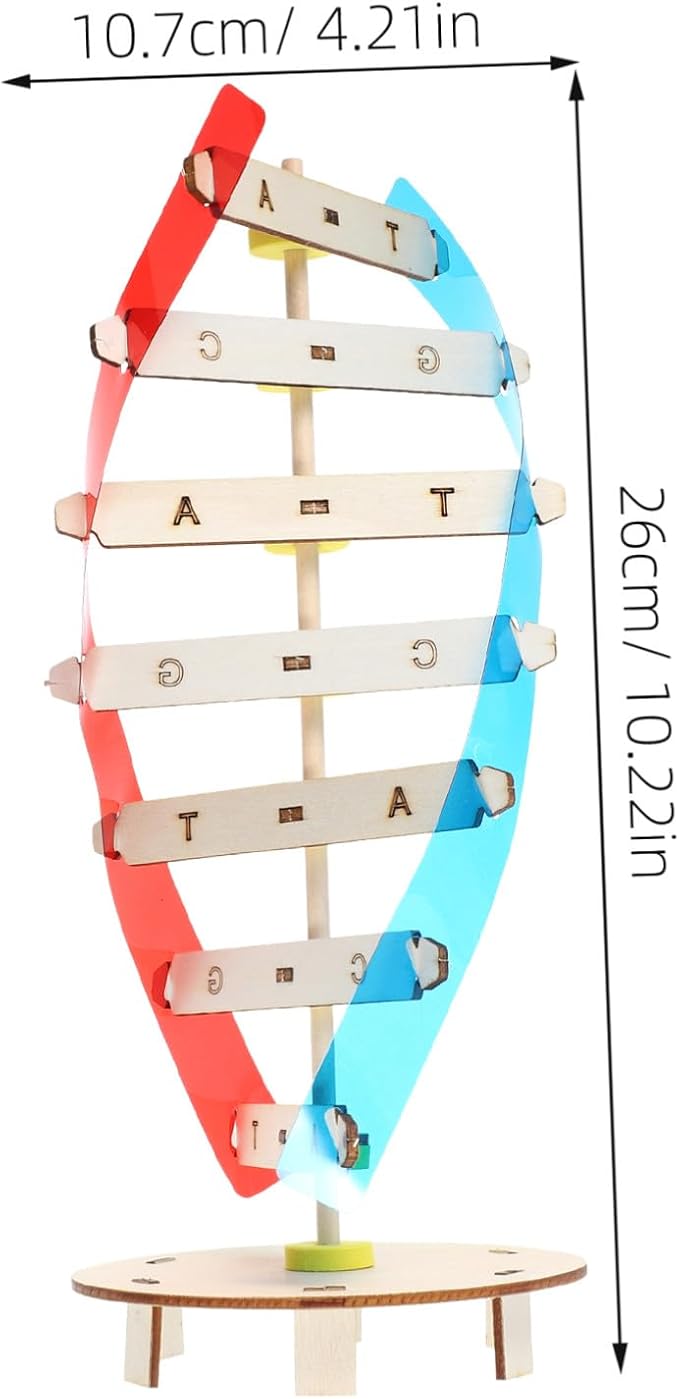 DIY Human DNA Double Helix Model Kit Educational Stem for Molecular Structure Building Enhancing Fine Motor Skills and Biology Learning Science Project for Boys