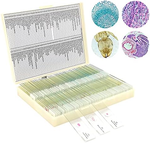 120 Microscope Slides with Specimens for Kids: Prepared Slides for Science by LAKWAR
