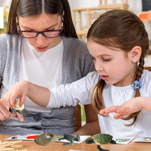 Life Cycleinsects Toys - 6Pcs Educational Figurine Set Ladyybuges - Image 3