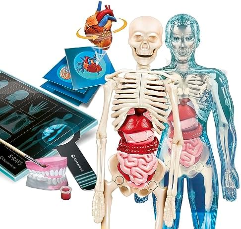 Clementoni Superanatomy - Scientific Anatomy Toy with Dedicated App and Augmented Reality, Discovering the Human Body, Ages 8+, Toy in Spanish (55509) - Image 2