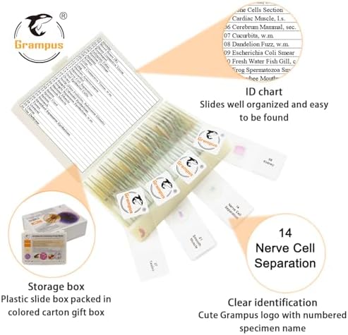 30 Prepared Microscope Slides with Specimens for Kids Students - Histology, for Biological Science Lab, Children's Science Education, Homeschooling Use - Image 2