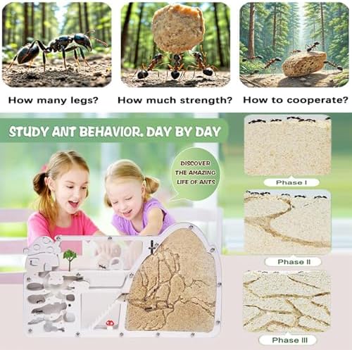 Ant Farm Castle - Large Viewing Area - Care for Live Ants - Ant Colony Observation Kits with Sand Habitat - Educational Science Gifts for Boys, Girls - Ant Farms for Kids, Adults, Student (Yellow) - Image 2