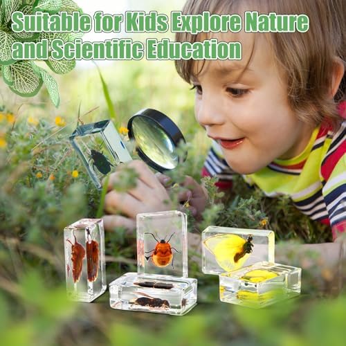 Lineshading 70 Pcs Resin Insects Specimen with 7 Magnifier for Kids Science - Image 6