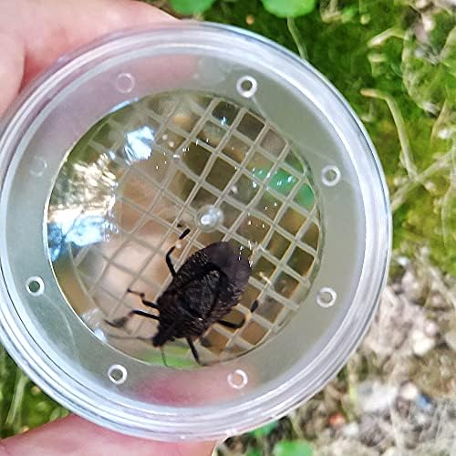 8 Pieces Bug Viewer Critter Insect Cage Magnifying Insect Box Bug Magnifier Container Bug Catcher Cage, Science Nature Exploration Tools - Image 5