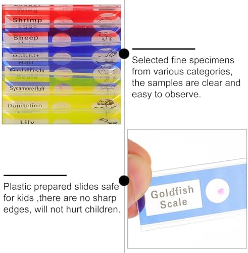 36pcs Prepared Microscope Slides for Boys and Girls Basic Biology Education - Image 3