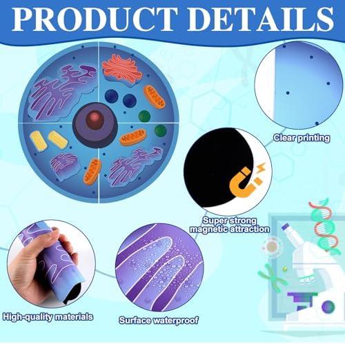 2 Set Magnetic Animal and Plant Cell Anatomy Biology Model Set - Image 3