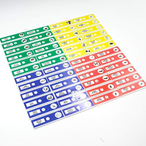48pcs Prepared Plastic Microscope Slides Biological Specimen with 4 Boxes for Student Enlighten Education - Image 6