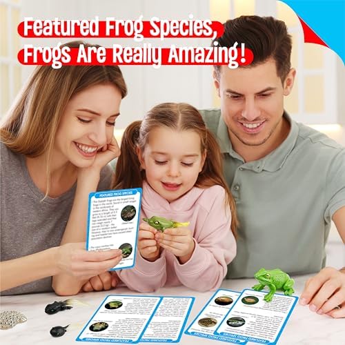 15 Frog Life Circle Flashcards with 5 Plastic Figurines, Frogs Introduction Cards Plastic Insects Tadpole to Frog Kit Toy for Kids, Adults, Animal Lovers - Image 5