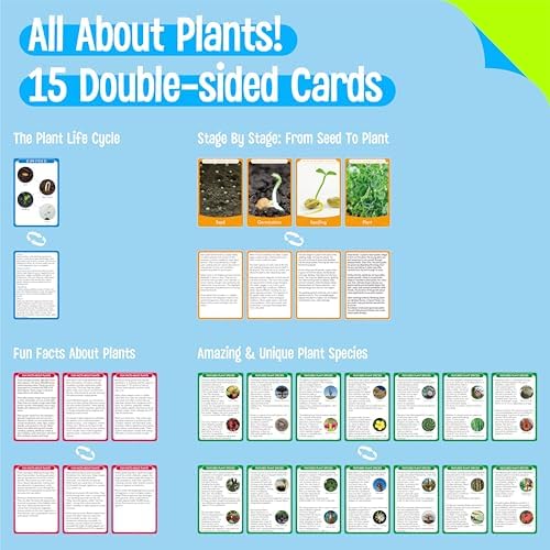 15 Plant Life Circle Flashcards with 4 Plastic Figurines-Seed to Plant, Plants Introduction Card Plants Growth Details for Nature Lovers & Adults, Montessori Toy for Kids - Image 2